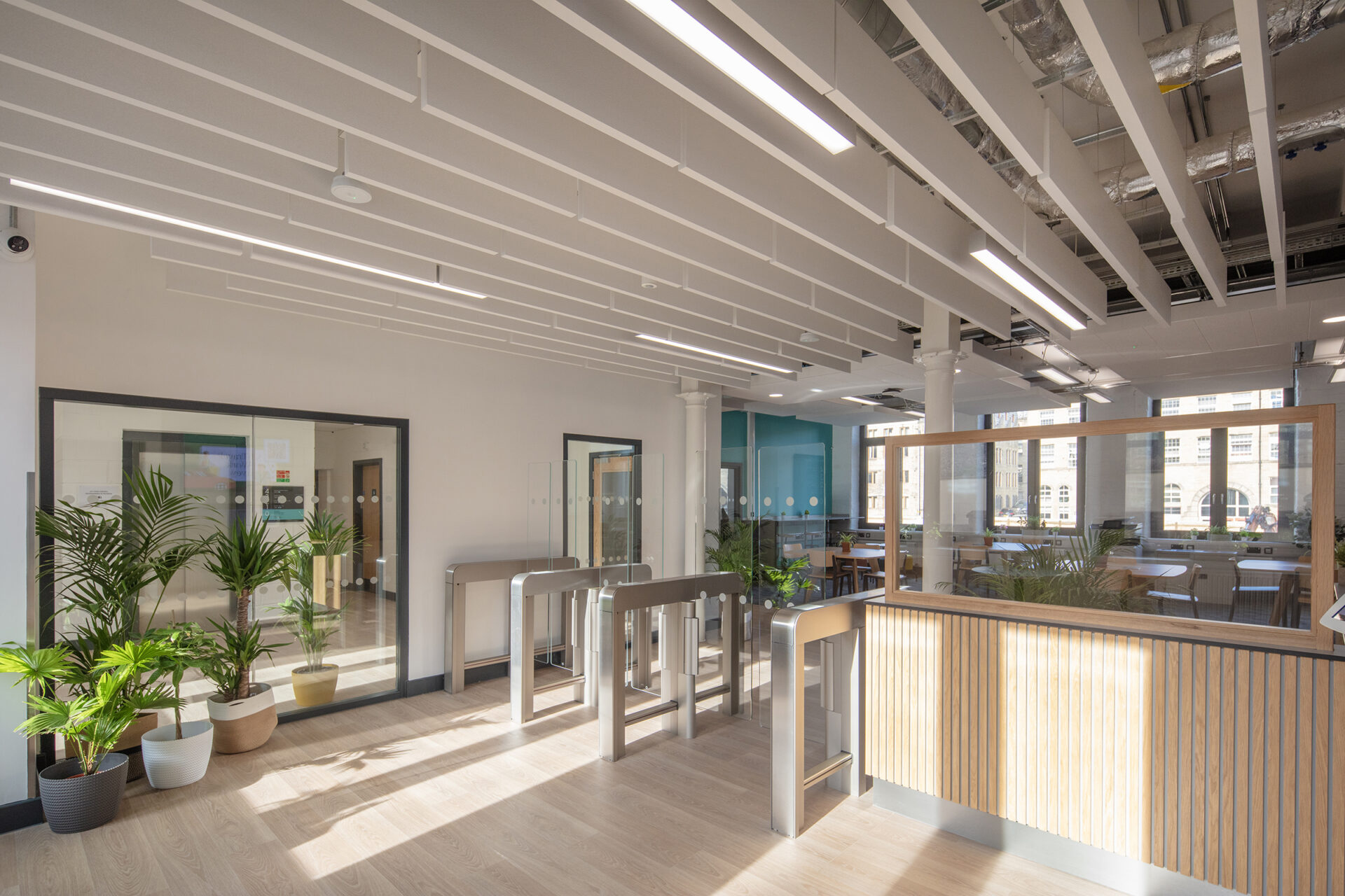 Zentia Sonify Case Study Garden Mills Bradford College 04